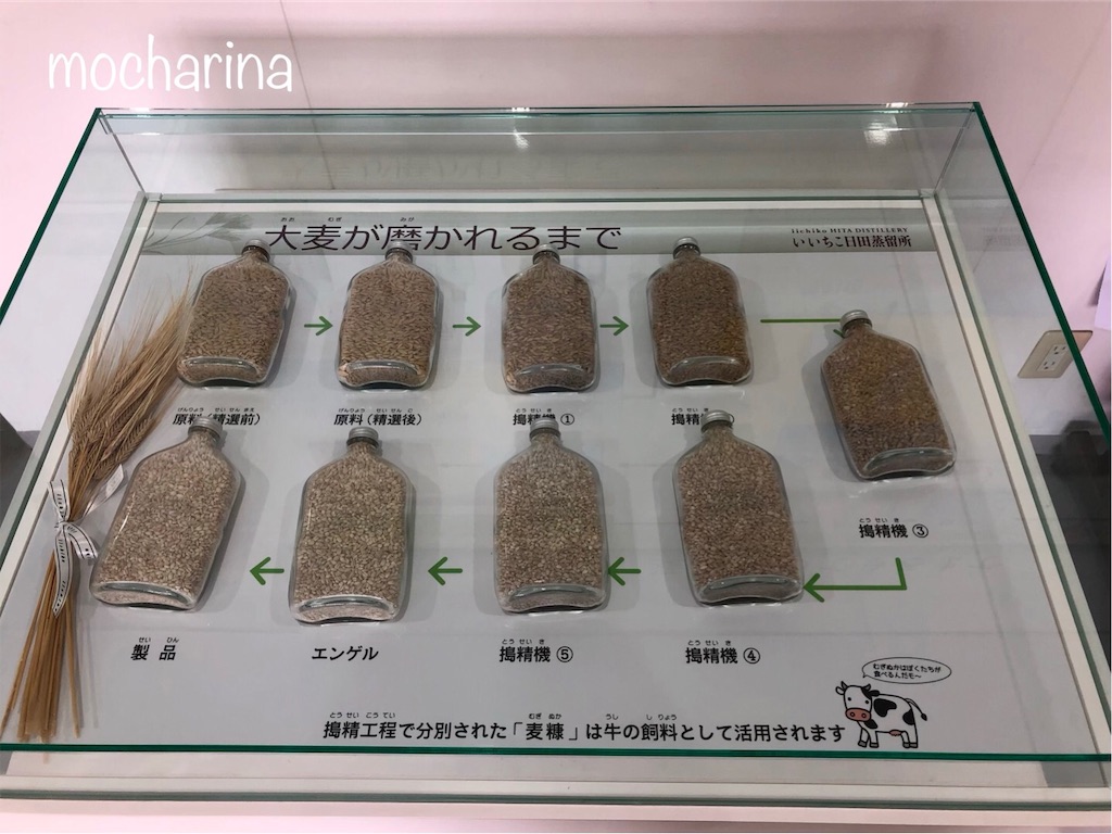 f:id:mocharina09:20190519161830j:image f:id:mocharina09:20190519161830j:image
