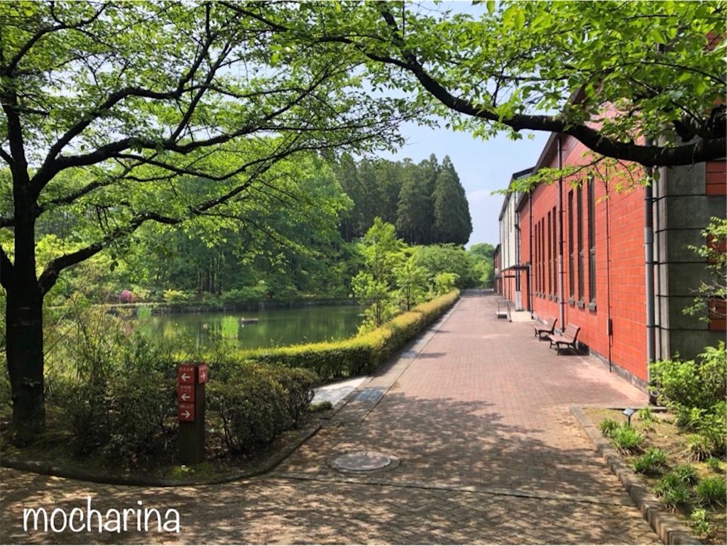 f:id:mocharina09:20190519170255j:image f:id:mocharina09:20190519170255j:image