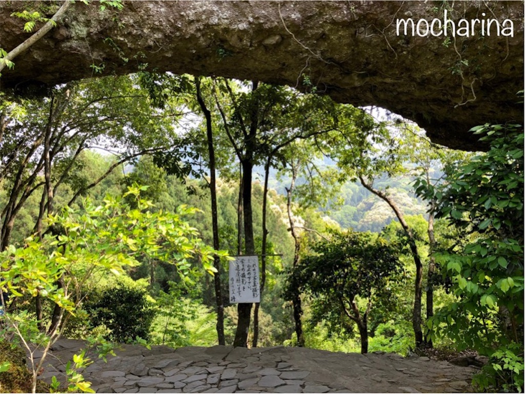 f:id:mocharina09:20190520120446j:image f:id:mocharina09:20190520120446j:image