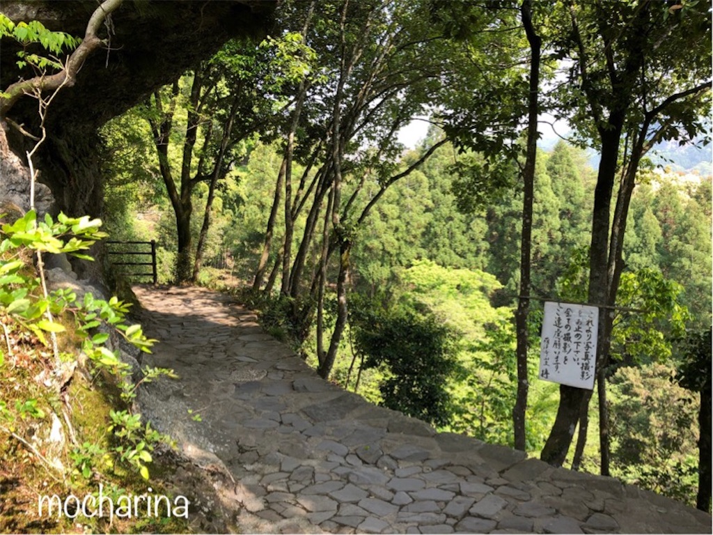 f:id:mocharina09:20190520120552j:image f:id:mocharina09:20190520120552j:image
