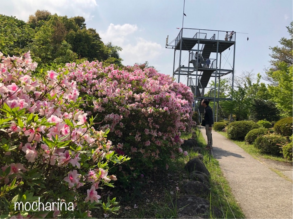 f:id:mocharina09:20190520131754j:image f:id:mocharina09:20190520131754j:image