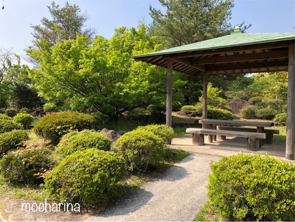 f:id:mocharina09:20190520131758j:image f:id:mocharina09:20190520131758j:image