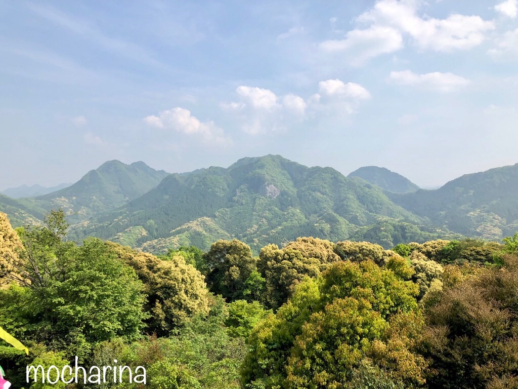 f:id:mocharina09:20190520132020j:image f:id:mocharina09:20190520132020j:image