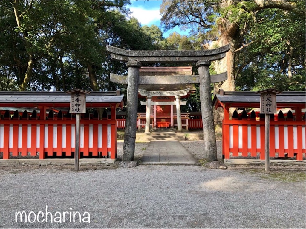 f:id:mocharina09:20191016100917j:image f:id:mocharina09:20191016100917j:image