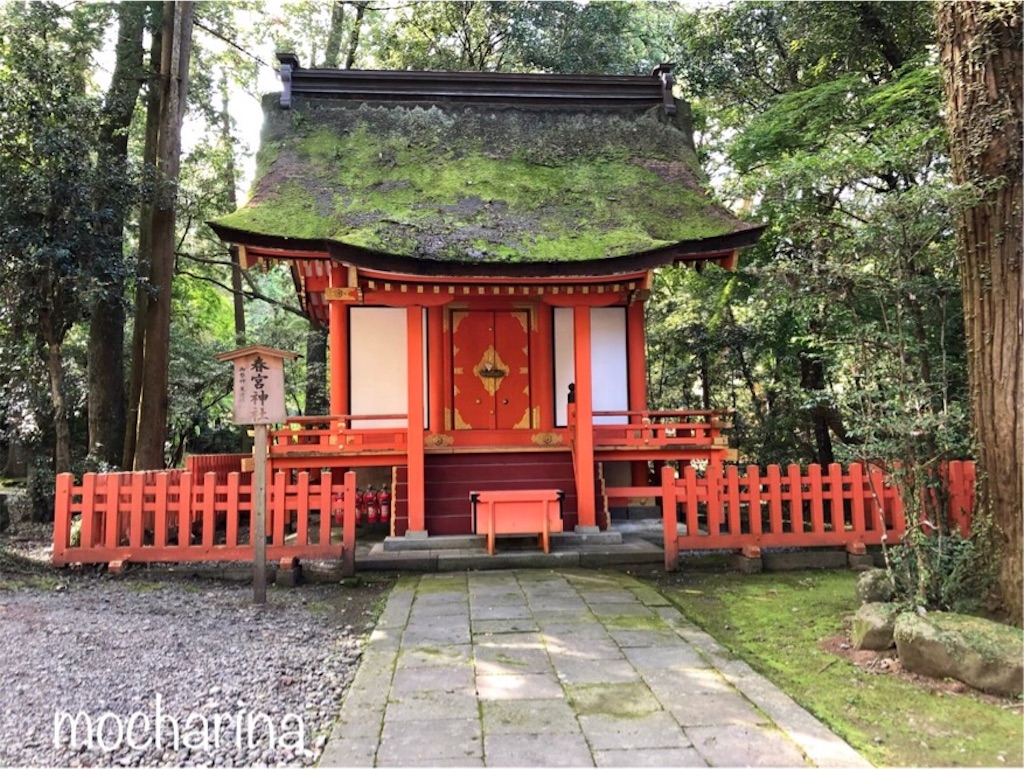 f:id:mocharina09:20191016100919j:image f:id:mocharina09:20191016100919j:image