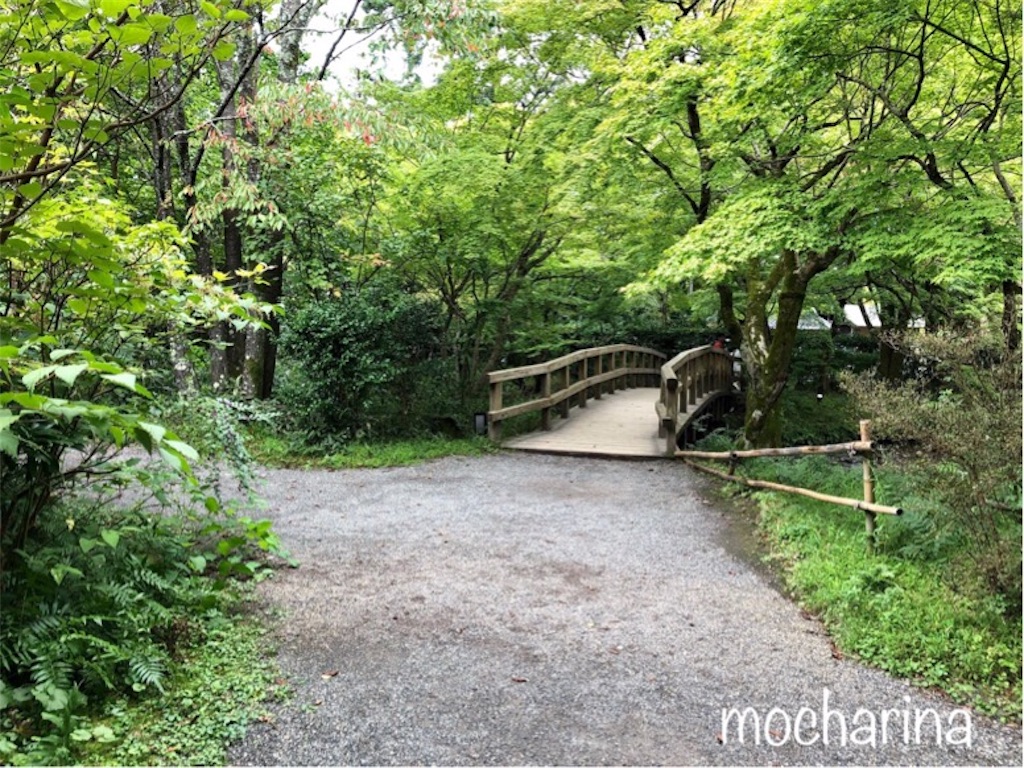 f:id:mocharina09:20191018111059j:image f:id:mocharina09:20191018111059j:image