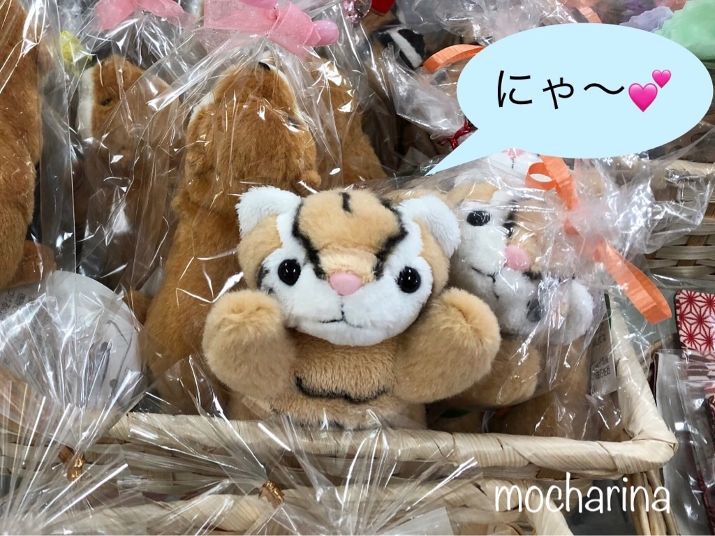 f:id:mocharina09:20191021205901j:image f:id:mocharina09:20191021205901j:image