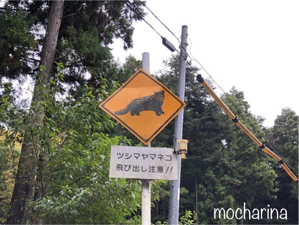 f:id:mocharina09:20191021211425j:image f:id:mocharina09:20191021211425j:image