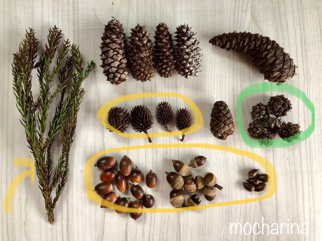 f:id:mocharina09:20191024175259j:image f:id:mocharina09:20191024175259j:image