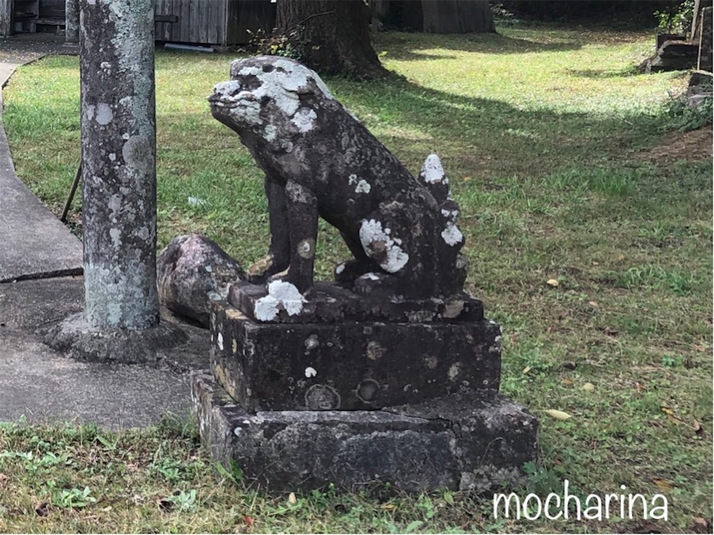 f:id:mocharina09:20191024235220j:image f:id:mocharina09:20191024235220j:image