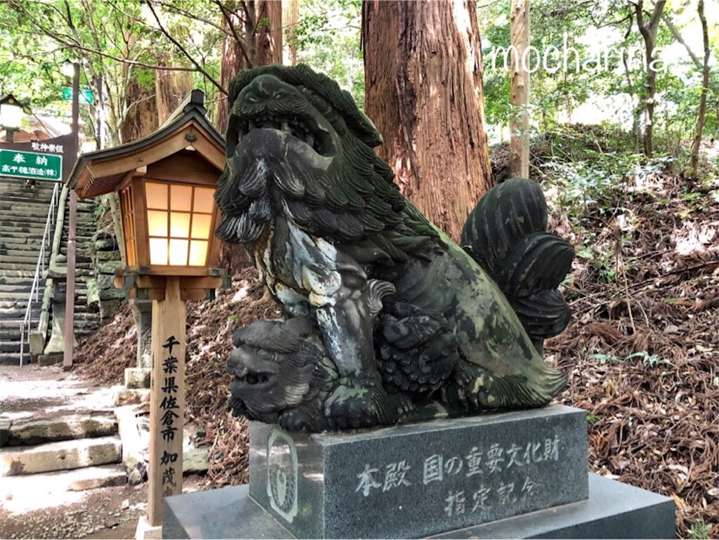 f:id:mocharina09:20191105152427j:image f:id:mocharina09:20191105152427j:image