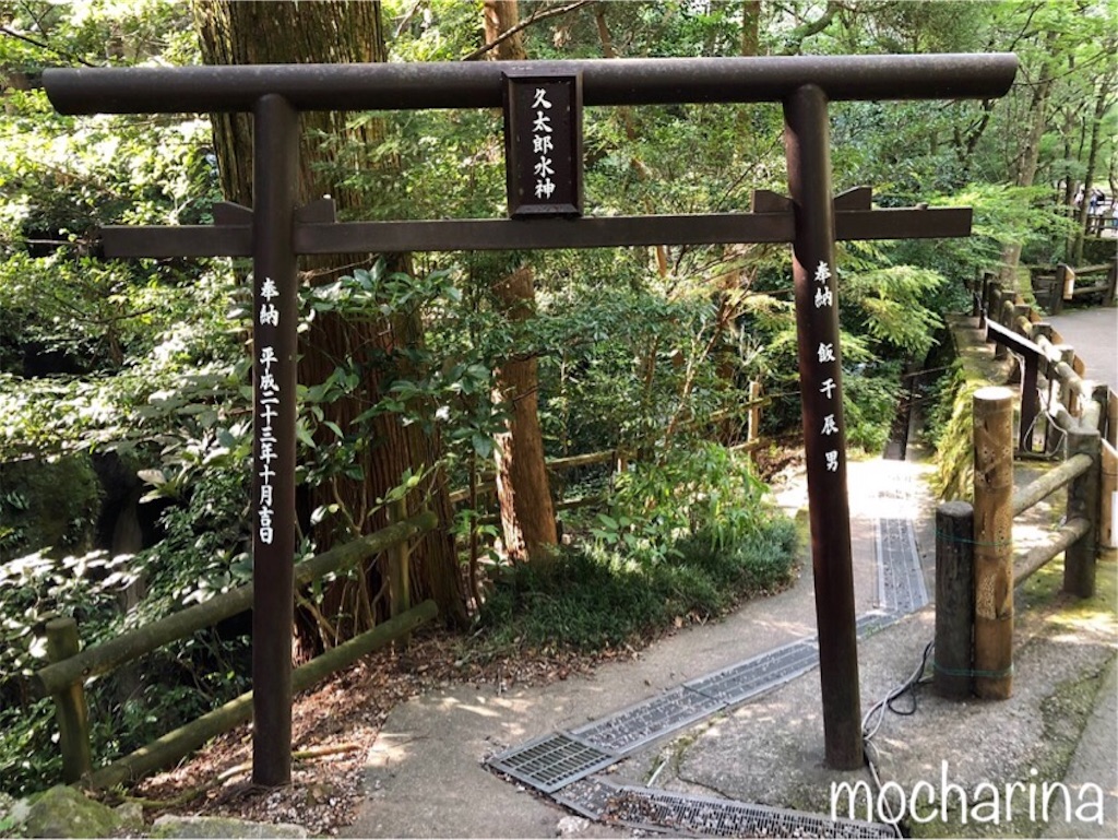 f:id:mocharina09:20191114233232j:image f:id:mocharina09:20191114233232j:image