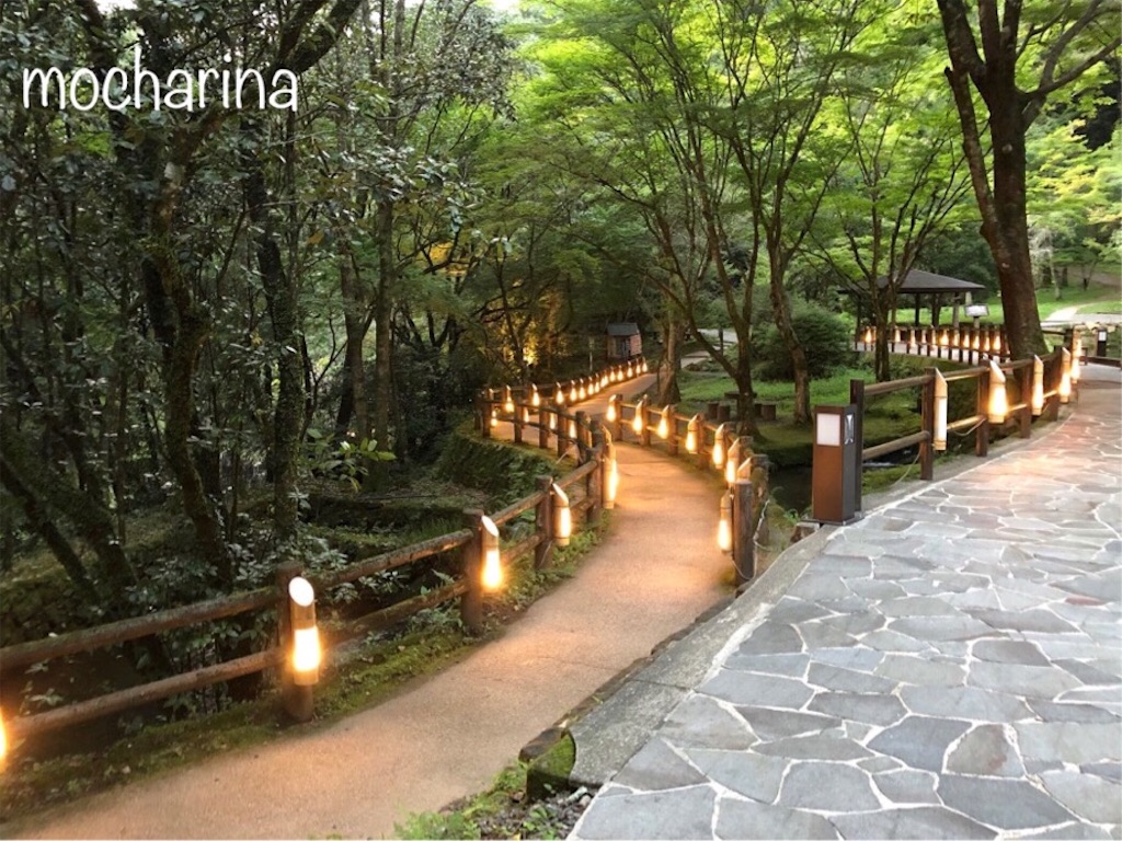 f:id:mocharina09:20191115002525j:image f:id:mocharina09:20191115002525j:image