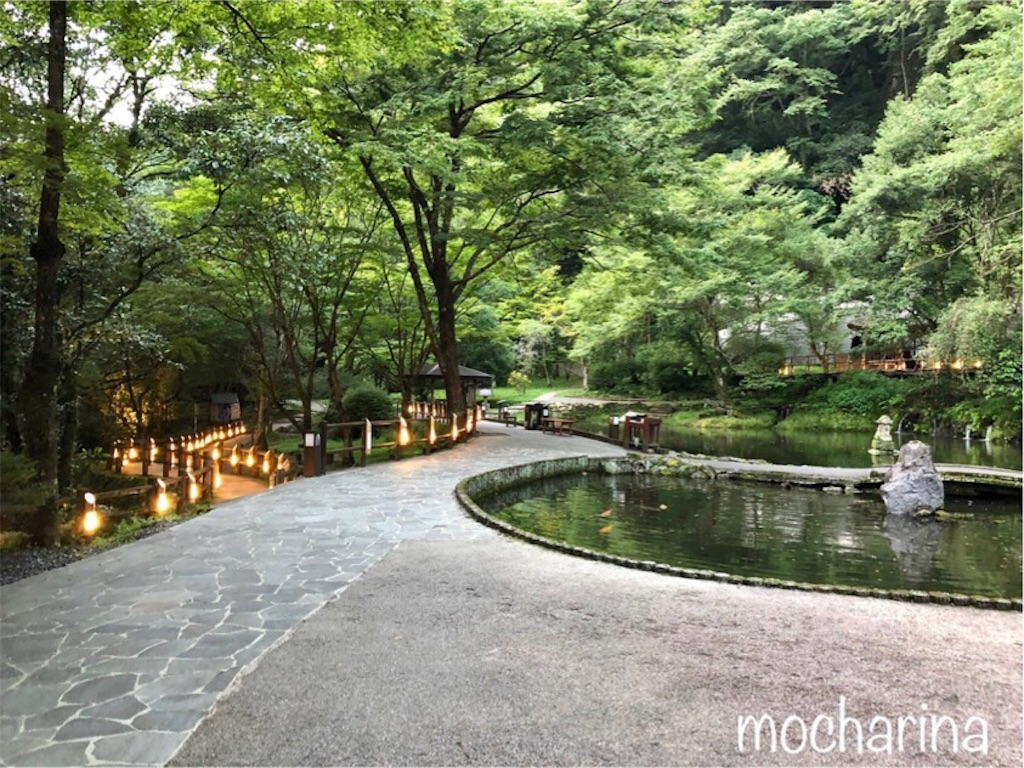 f:id:mocharina09:20191115002528j:image f:id:mocharina09:20191115002528j:image