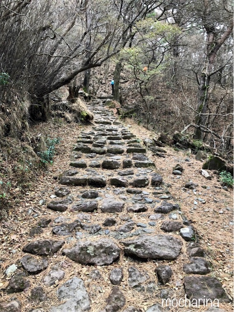 f:id:mocharina09:20191208225706j:image f:id:mocharina09:20191208225706j:image