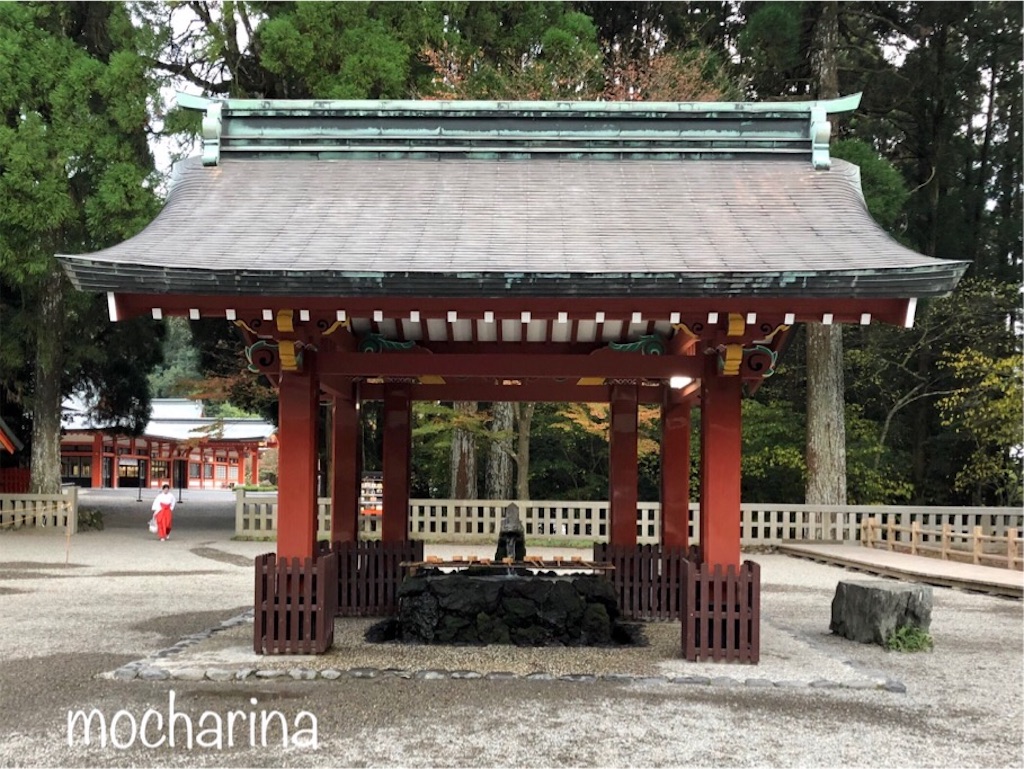 f:id:mocharina09:20191210091657j:image f:id:mocharina09:20191210091657j:image