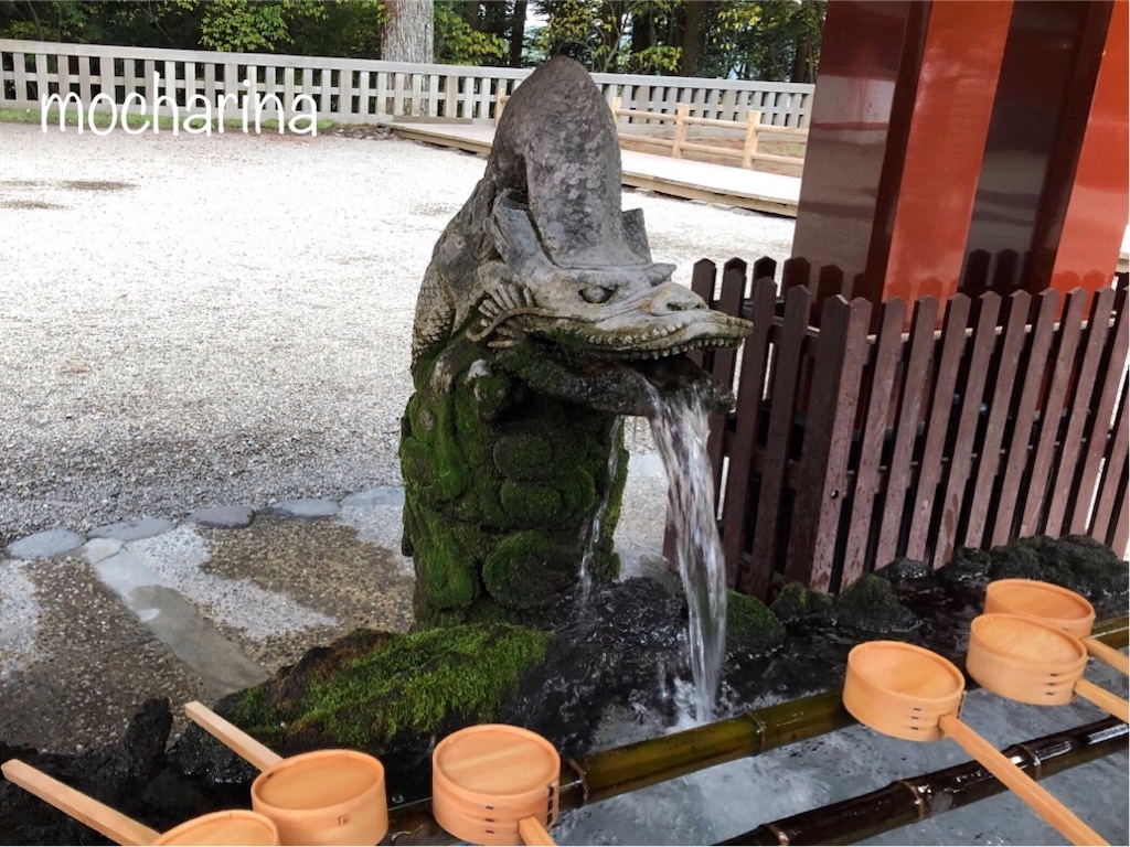 f:id:mocharina09:20191210091700j:image f:id:mocharina09:20191210091700j:image