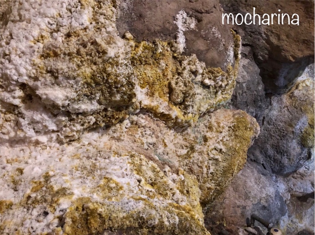 f:id:mocharina09:20191213202611j:image f:id:mocharina09:20191213202611j:image
