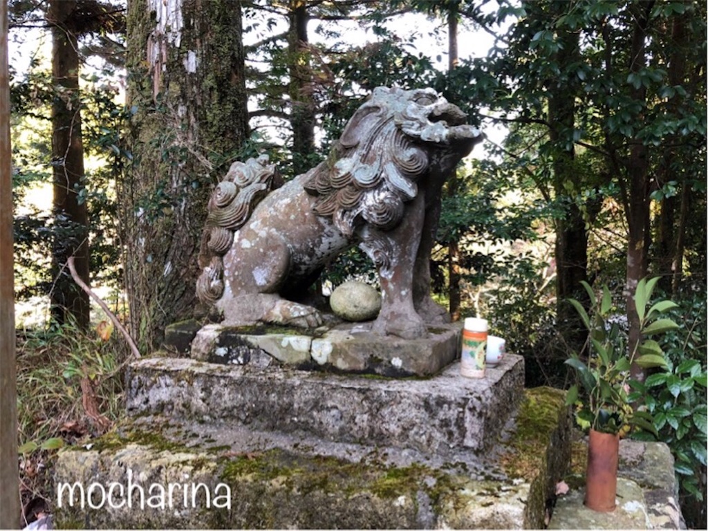 f:id:mocharina09:20191220225729j:image f:id:mocharina09:20191220225729j:image