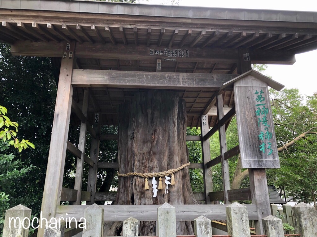 f:id:mocharina09:20191222012730j:image f:id:mocharina09:20191222012730j:image