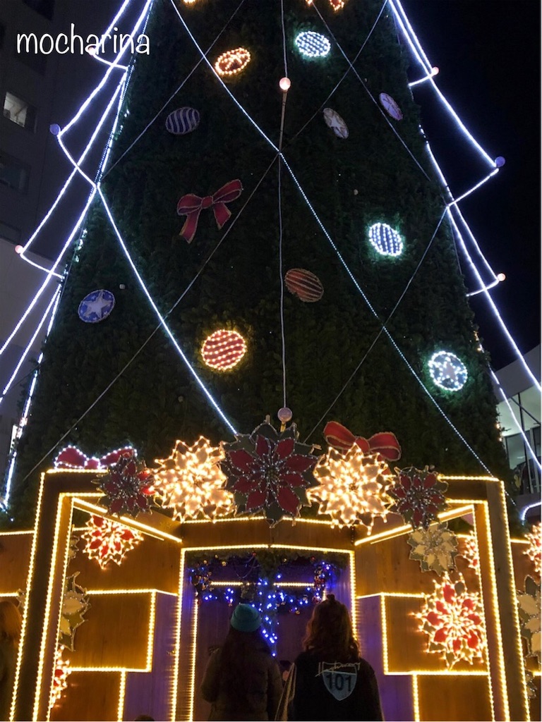 f:id:mocharina09:20191224164632j:image f:id:mocharina09:20191224164632j:image