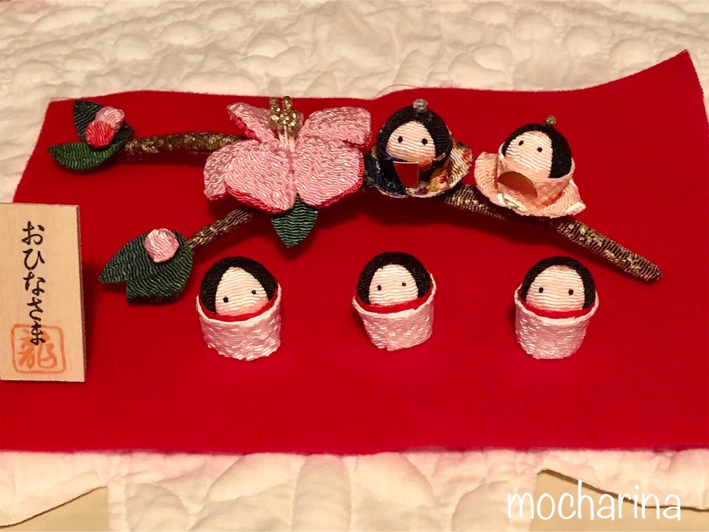 f:id:mocharina09:20200227195050j:image