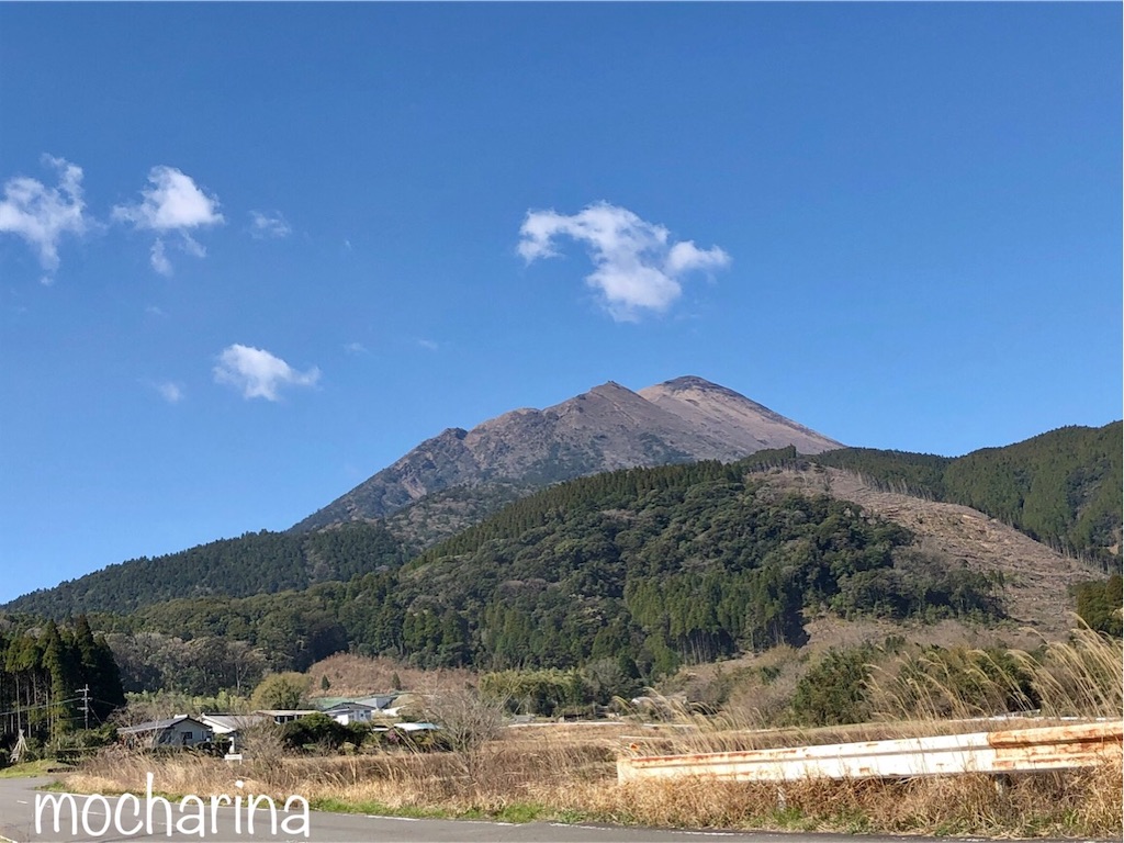 f:id:mocharina09:20200322093500j:image