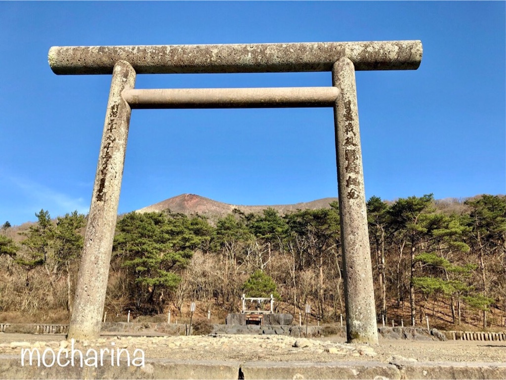 f:id:mocharina09:20200322093831j:image