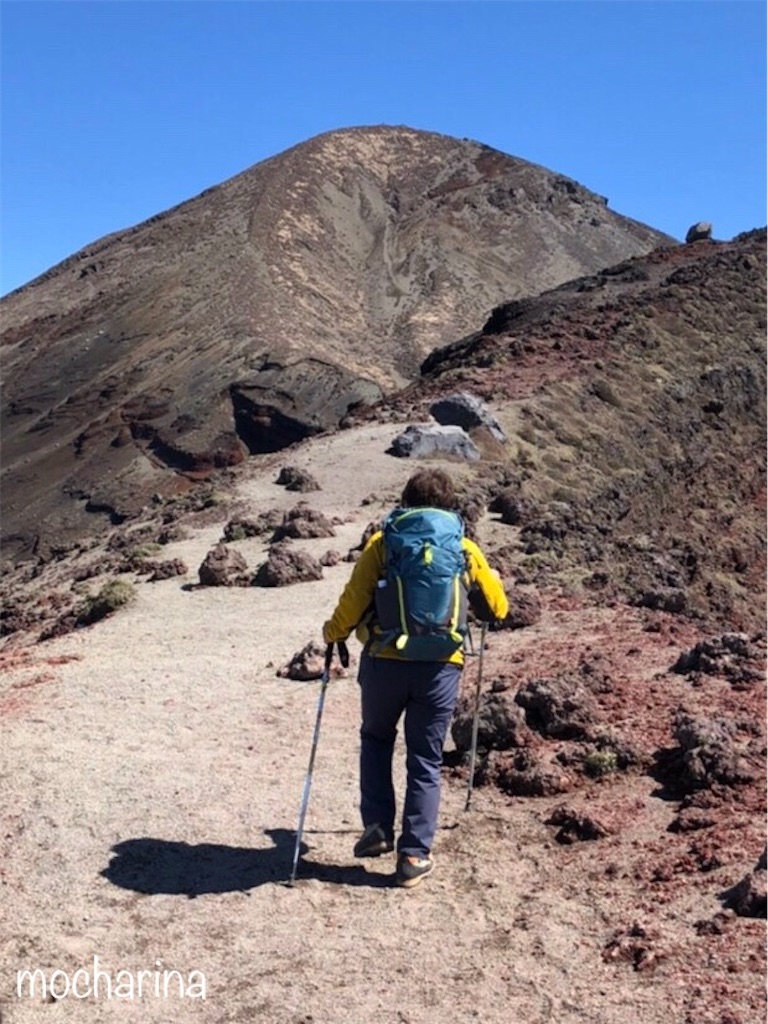 f:id:mocharina09:20200323010054j:image