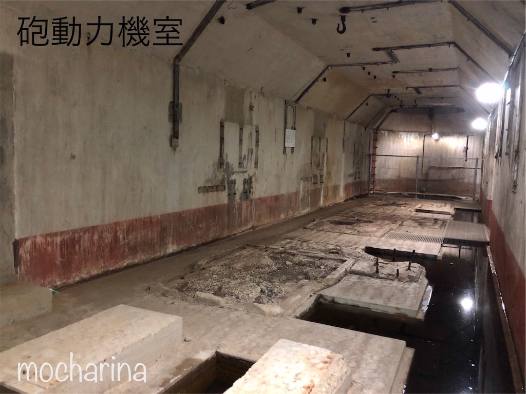 f:id:mocharina09:20200521104536j:image f:id:mocharina09:20200521104536j:image
