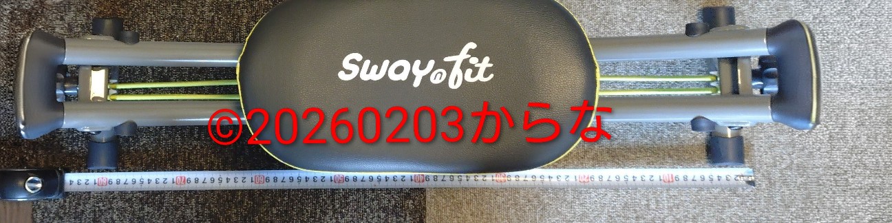 f:id:mochi-ha:20260203133055j:image