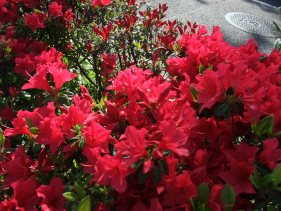 f:id:mochi-oka:20120428154448j:image