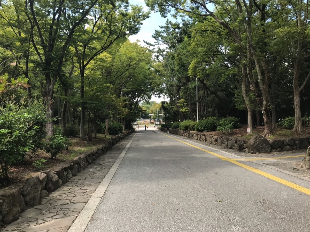 f:id:mochi0402:20190902114533j:plain f:id:mochi0402:20190902114533j:plain