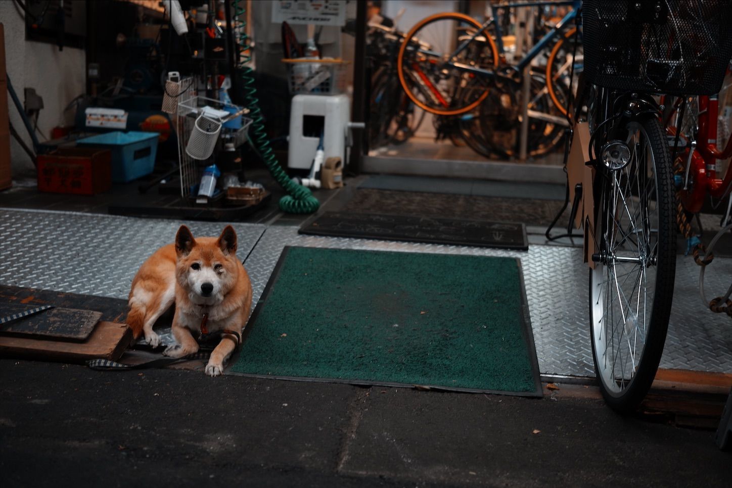 f:id:mochi0417:20191230192508j:image