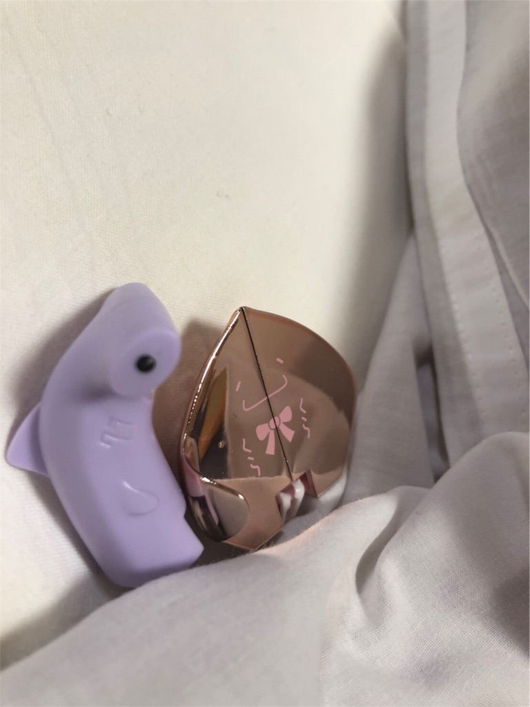 f:id:mochi168:20190221161417j:image