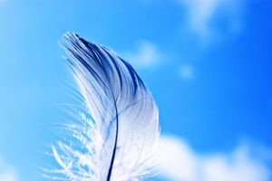 f:id:mochi2neko-iezukuri:20190116081917j:plain