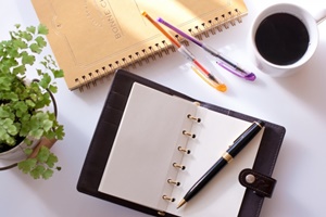 f:id:mochi2neko-iezukuri:20190116103438j:plain