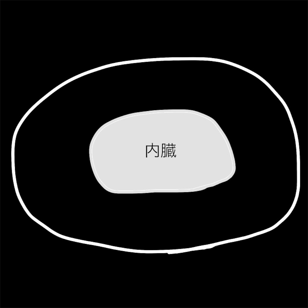 f:id:mochi30:20190114153156j:image