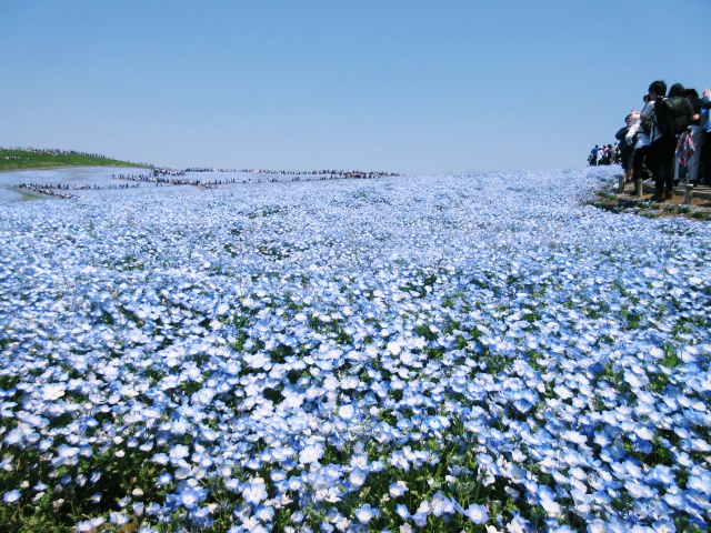 f:id:mochi36:20170503194311j:plain