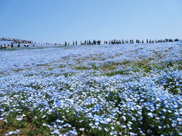 f:id:mochi36:20170503194417j:plain