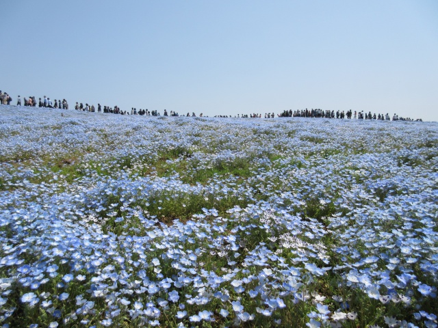 f:id:mochi36:20170503194435j:plain