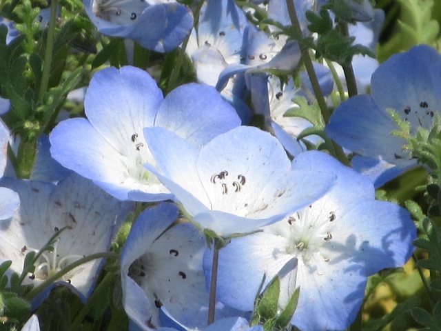 f:id:mochi36:20170503194755j:plain