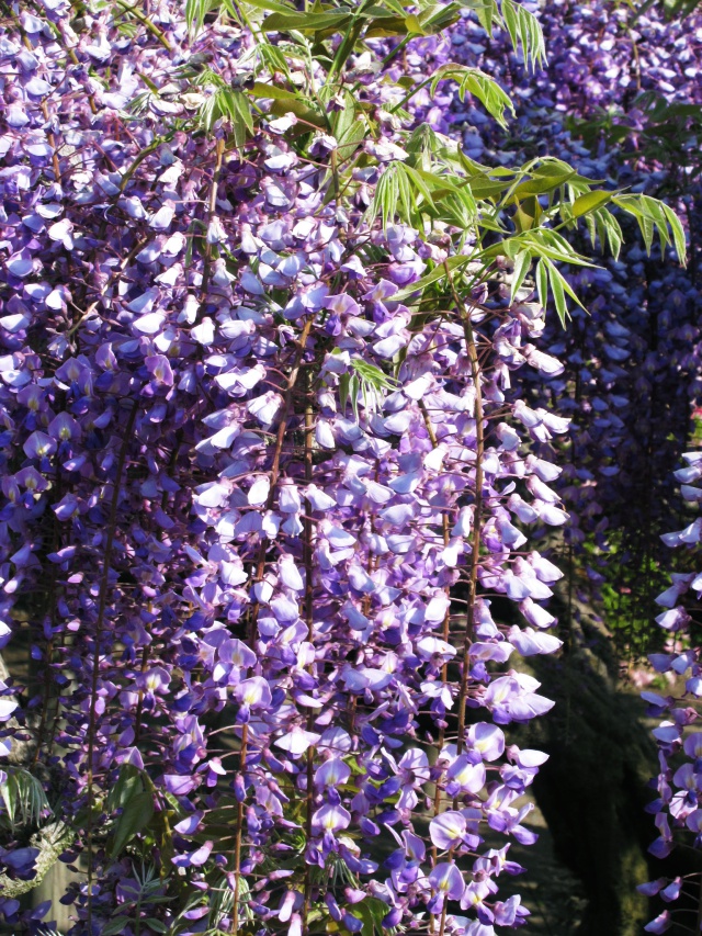 f:id:mochi36:20170503195633j:plain