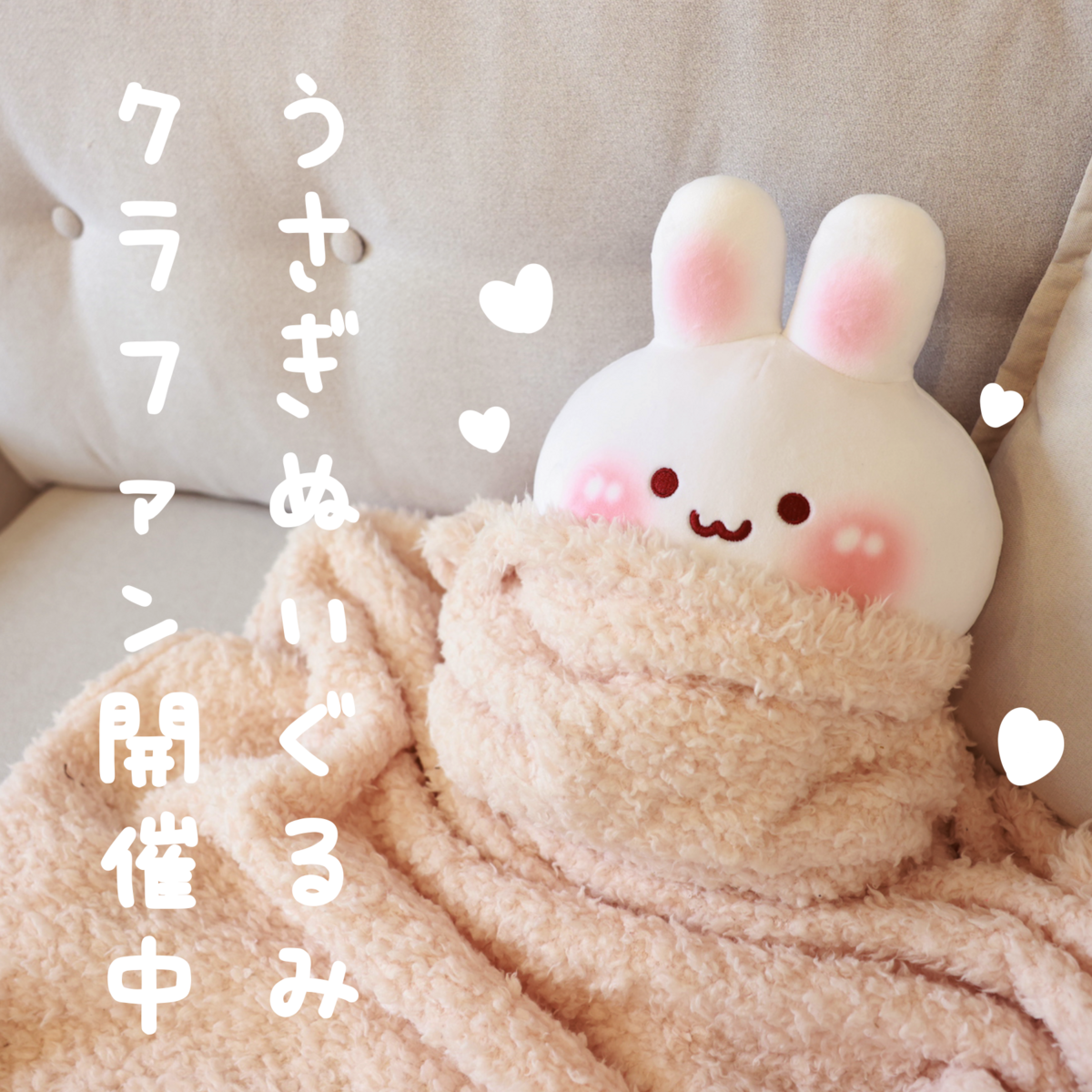 四季 なめこ プロジェクト返礼 ぬいぐるみ クラファン 四季 なめこ プロジェクト返礼 ぬいぐるみ クラファン - メルカリ