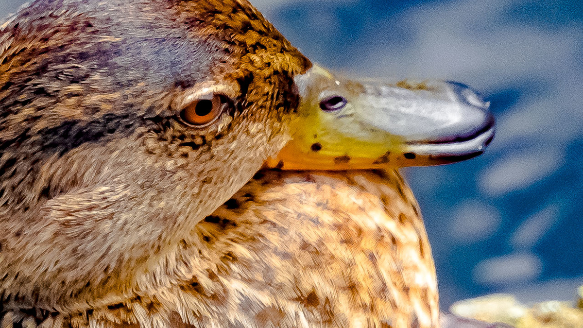 f:id:mochico25:20200907175101j:plain f:id:mochico25:20200907175101j:plain