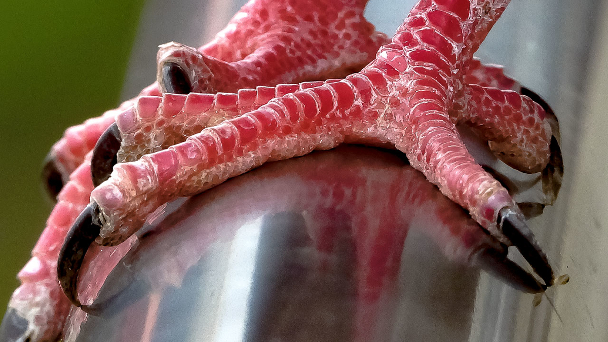 f:id:mochico25:20201027172903j:plain f:id:mochico25:20201027172903j:plain