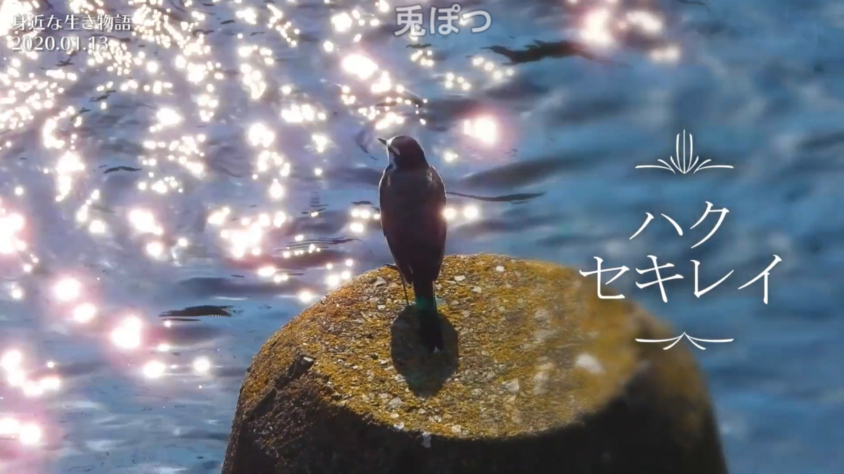 f:id:mochico25:20210120175101p:plain