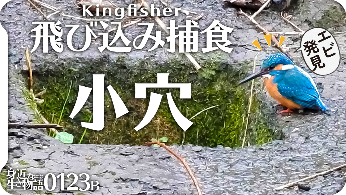 f:id:mochico25:20210123195039j:plain