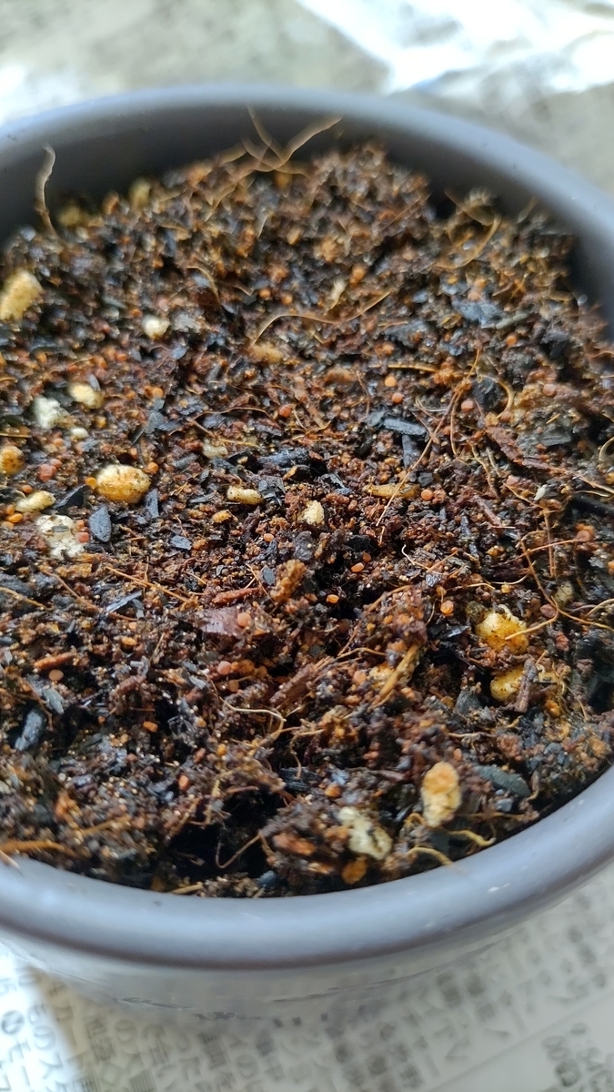 f:id:mochico25:20210508123640j:plain