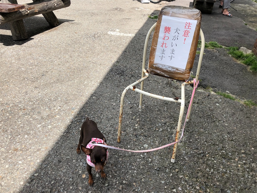 f:id:mochiemon:20190817070130j:image f:id:mochiemon:20190817070130j:image